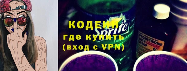 индика Елизово