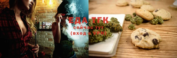 индика Елизово