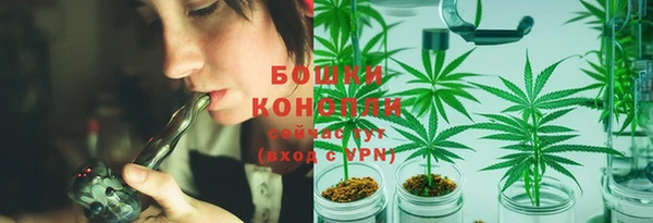 индика Елизово