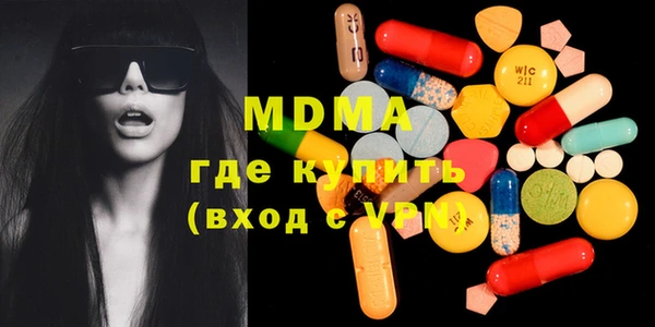 индика Елизово