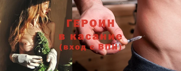 индика Елизово