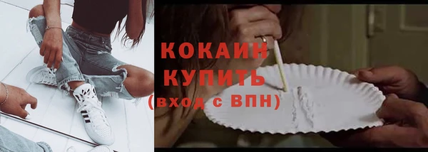 индика Елизово