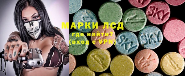 индика Елизово