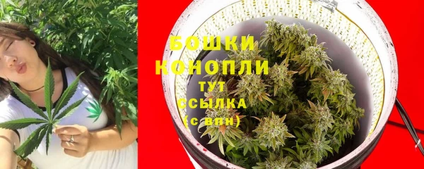 индика Елизово