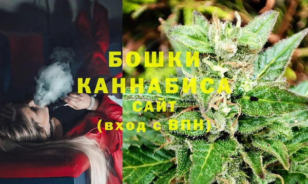 индика Елизово