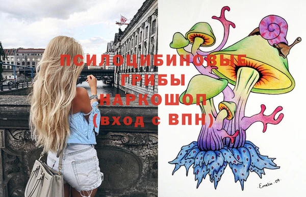 индика Елизово