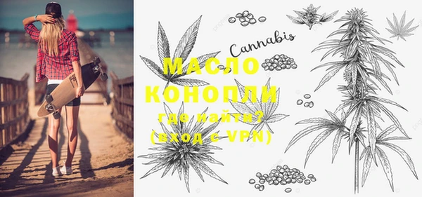 индика Елизово