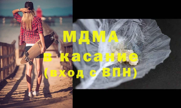 индика Елизово
