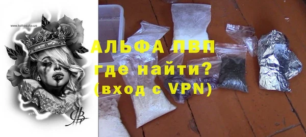 индика Елизово