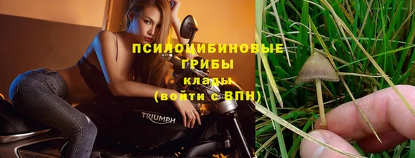 индика Елизово