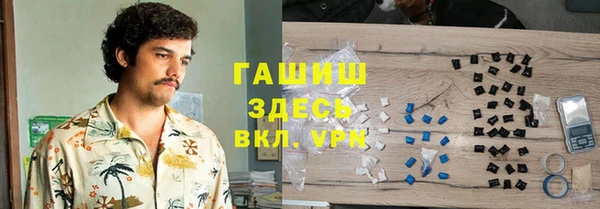 индика Елизово