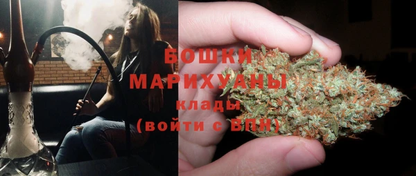индика Елизово