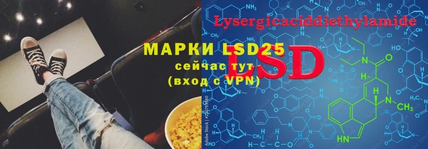 индика Елизово