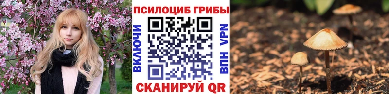 Псилоцибиновые грибы MAGIC MUSHROOMS  Купить где  Камень-на-Оби 